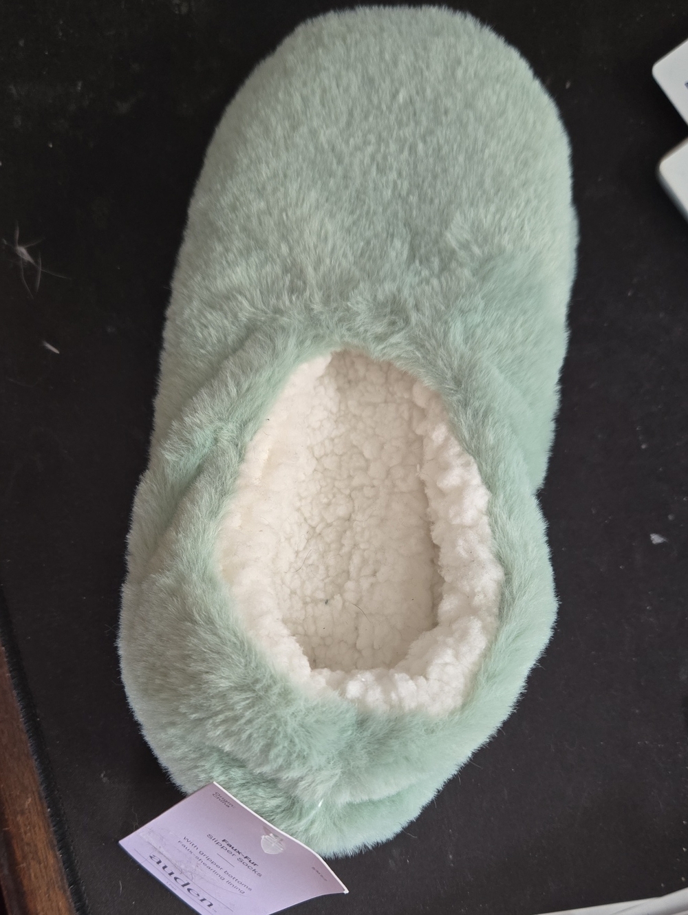 Auden Plush Slip-On Shoe in Mint Green